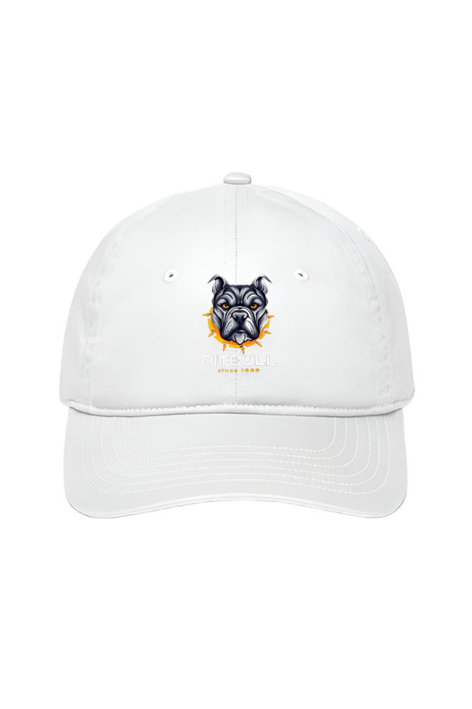 Game-Changing Caps: Bluelander's Premium Sports Headwear for the Ultimate Style Upgrade.