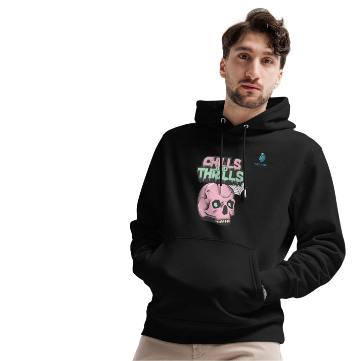 Bluelander Exclusives: Premium Hoodies for the Perfect Chill-Thrill Blend!