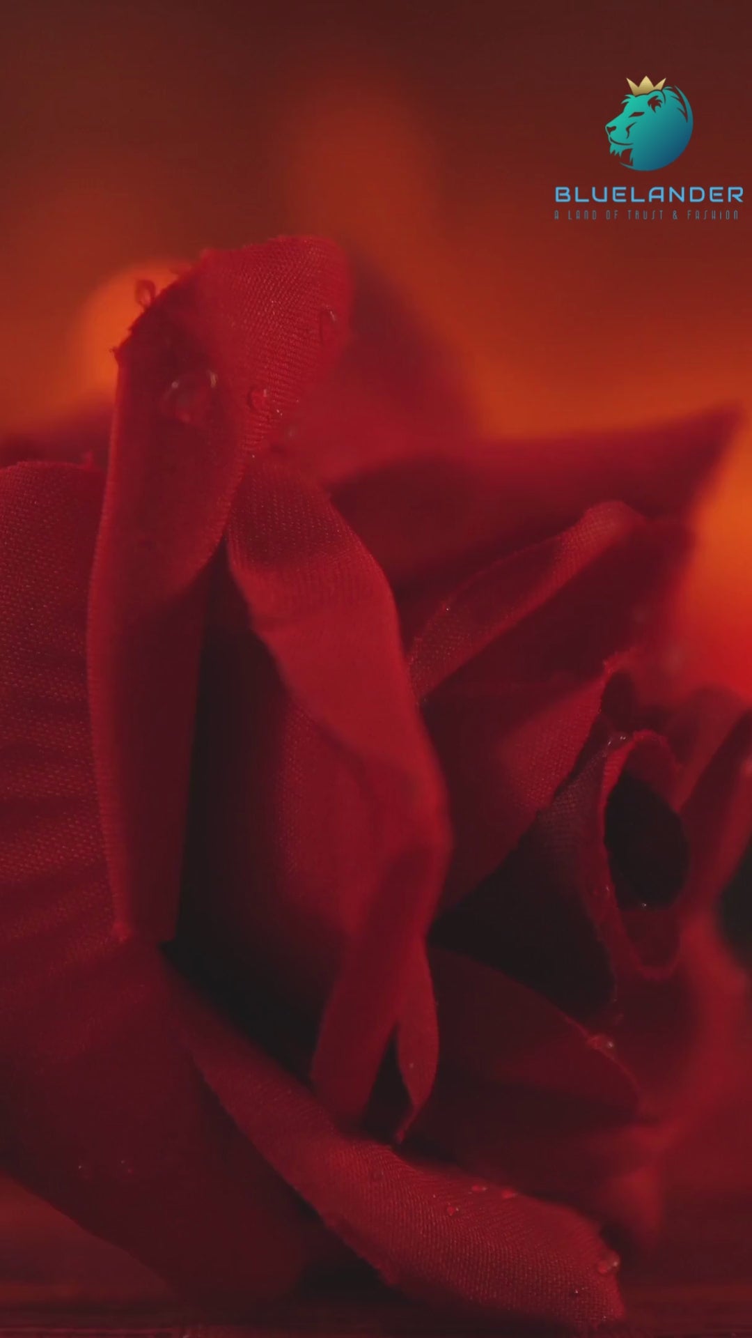 Load video: Believe in Love.